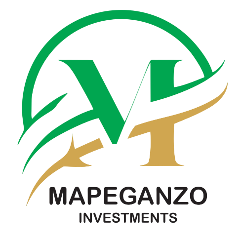 Mapeganzo Investments