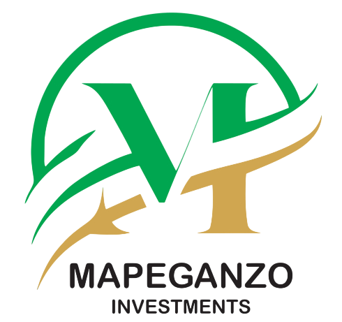 Mapeganzo Investments